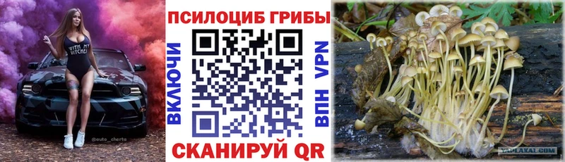 купить наркотики цена  Арзамас  Псилоцибиновые грибы мухоморы 